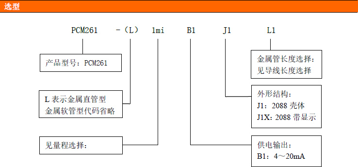 PCM261金属铠装液位变送器